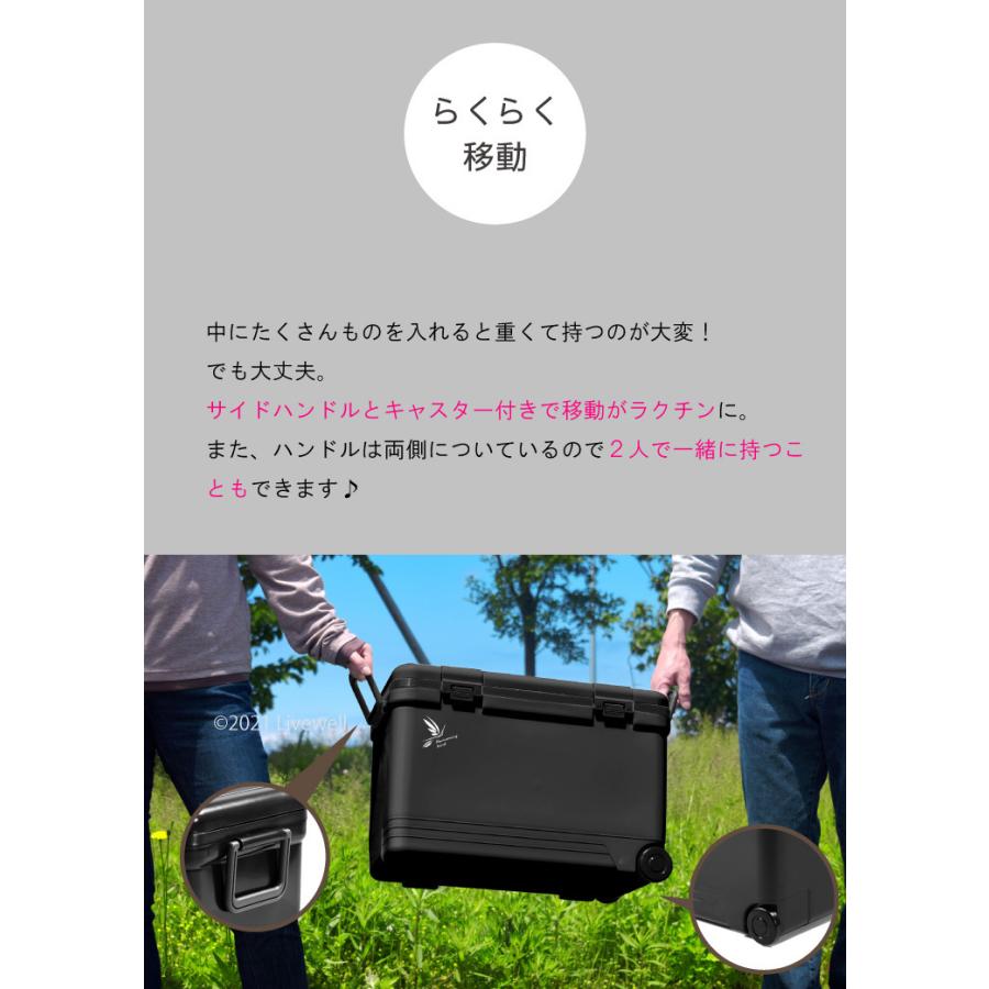 クーラーボックス 33l 大型 保冷力 釣り 部活 おしゃれ ハミングバードexc33 ホリデーランドクーラー リブウェル 通販 Yahoo ショッピング