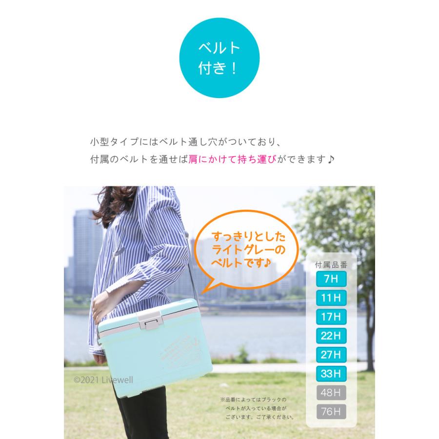 伸和（SHINWA） クーラーボックス 大型 保冷力 保温 釣り おしゃれ 45L