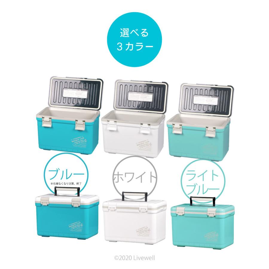 伸和（SHINWA） クーラーボックス 大型 保冷力 保温 釣り おしゃれ 45L