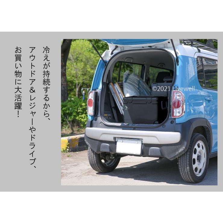 Livewell クーラーボックス 48L 大型 保冷力 釣り 保温 おしゃれ Livewell クーラーボックス 48L 大型 保冷力 釣り 保温 おしゃれ