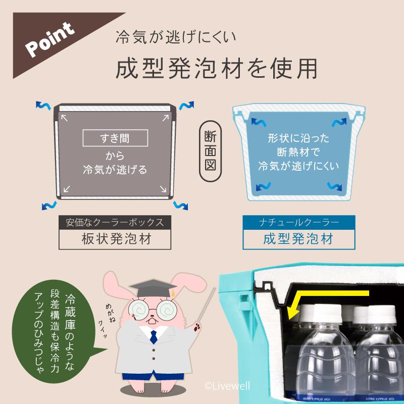 Livewell（リブウェル） クーラーボックス＋食器セット 小型 保冷 保温
