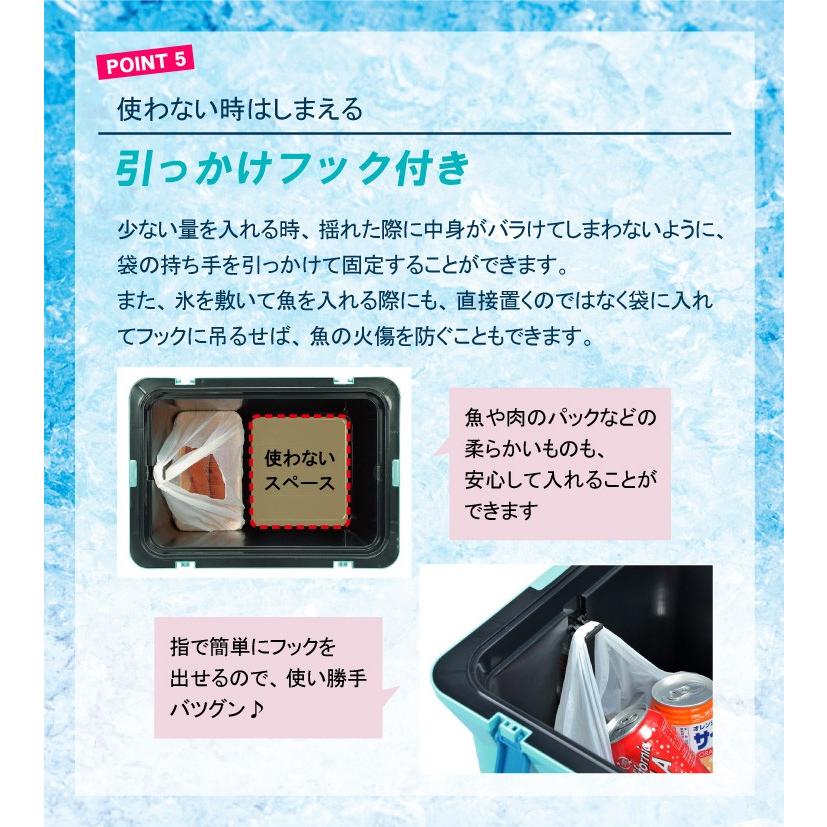 伸和（ 日用品、アウトドア用品） クーラーボックス 大型 保冷力