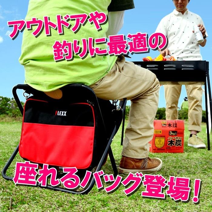 伸和（SHINWA） B級品 チェアバッグ 折りたたみ 椅子 ショルダーバッグ