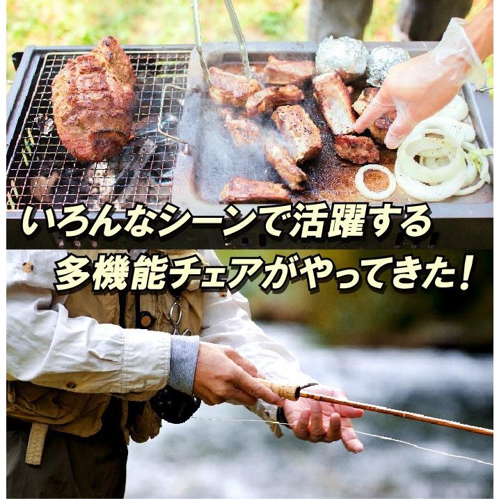 伸和（SHINWA） B級品 チェアバッグ 折りたたみ 椅子 ショルダーバッグ