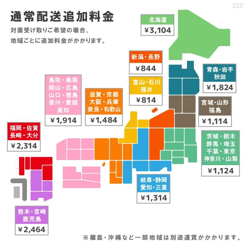 大型 そり ソリ 丈夫 頑丈 運搬 救助 芝生 子供 公園 遊び 荷物 ジャンボ ワカサギ ウィンタースポーツ 雪遊び ひも付き キャリースレー｜livewell｜03