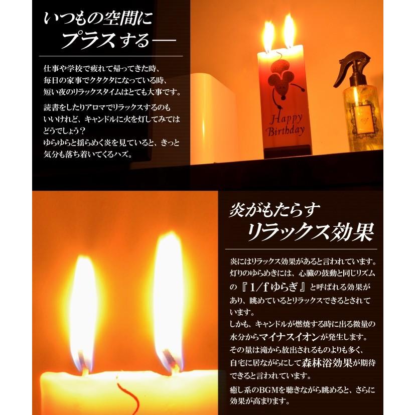 代引き不可 キャンドルろうそく お誕生日 バースデー ディスプレイ