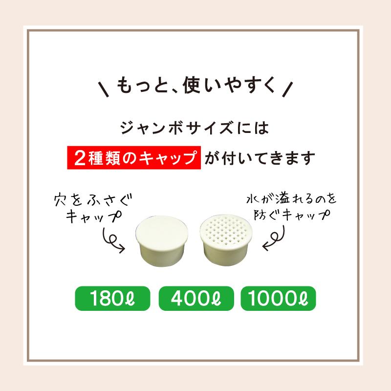 アウトレット B級品／白化・傷あり 代引き不可／時間指定不可 大型トロ
