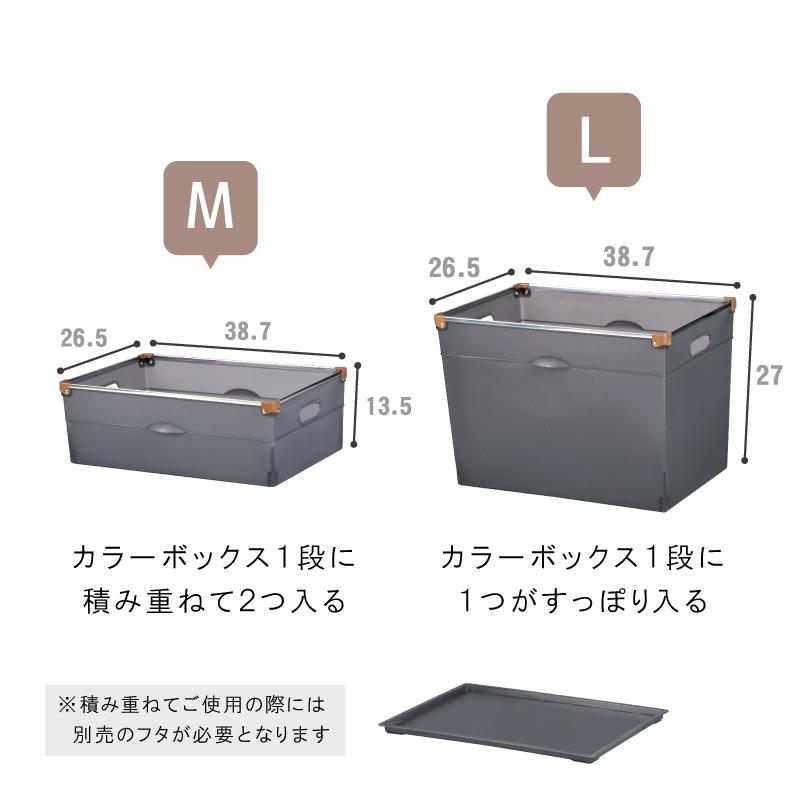 伸和（SHINWA） 10個セット インナーボックス カラーボックス 収納
