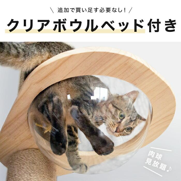 つっぱり式 キャットタワー 248cm クリアボウル 突っ張り 猫タワー 猫 キャット ペット 天然木 ラバーウッド 木目 スリム 麻紐｜livhouse｜08