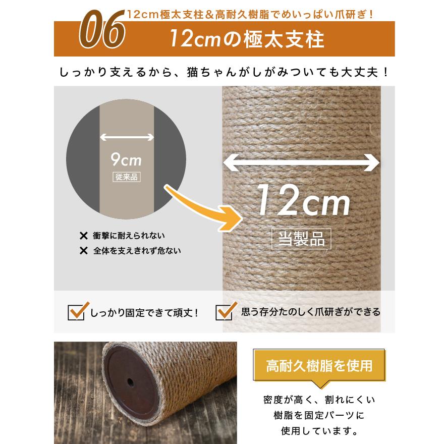 CAT TOWER STADIUM（キャットタワースタジアム） NEW！つっぱり式