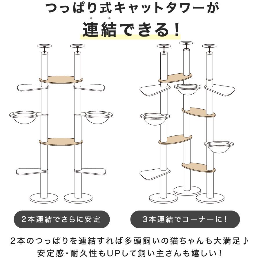 CAT TOWER STADIUM（キャットタワースタジアム） つっぱり式キャット