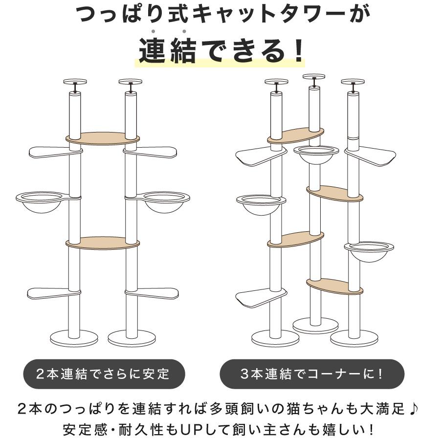 CAT TOWER STADIUM（キャットタワースタジアム） つっぱり式キャット