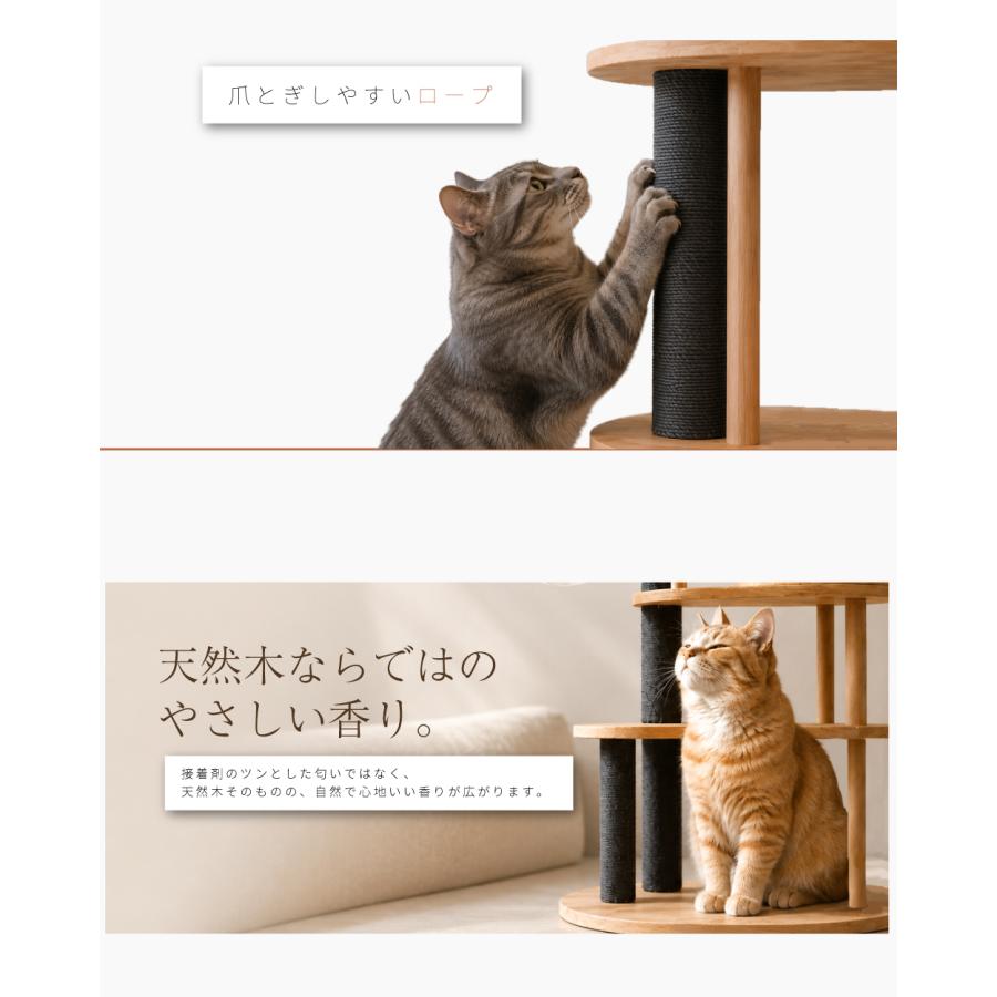 NEW！ NEKOTO 天然木 キャットタワー 165cm : Liv House - 通販