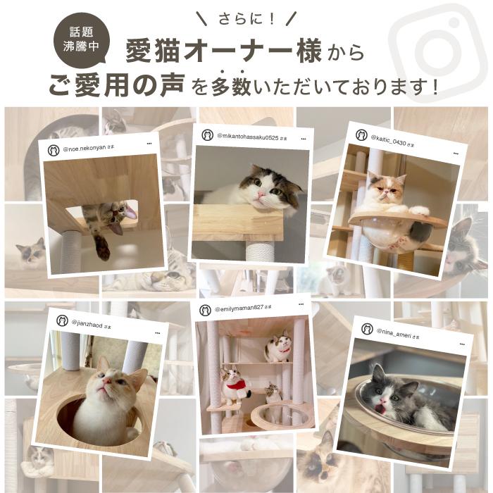 キャットタワー ラバーウッド Sクラス 天然木 キャットタワースタジアム 猫タワー 猫 猫用品 据え置き ウッド 木目調 爪とぎ 多頭飼い 頑丈 ハンモック｜livhouse｜03