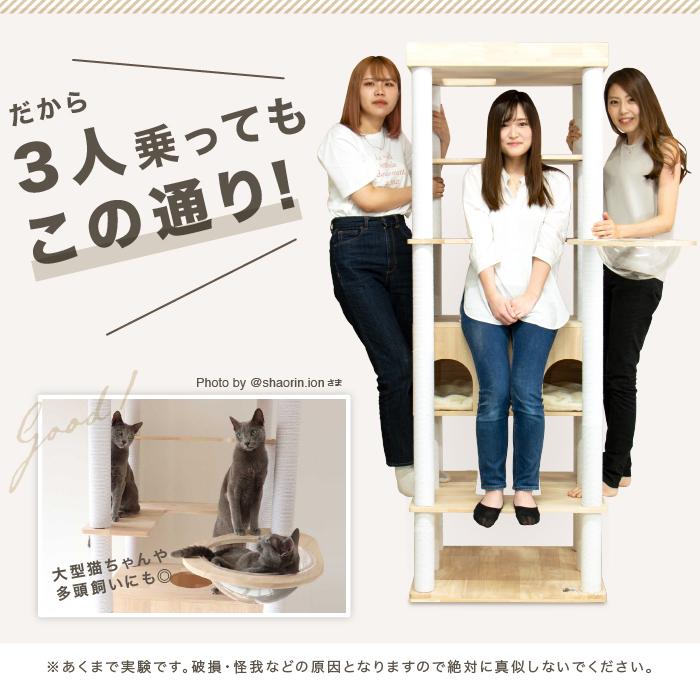 キャットタワー ラバーウッド Sクラス 天然木 キャットタワースタジアム 猫タワー 猫 猫用品 据え置き ウッド 木目調 爪とぎ 多頭飼い 頑丈 ハンモック｜livhouse｜08