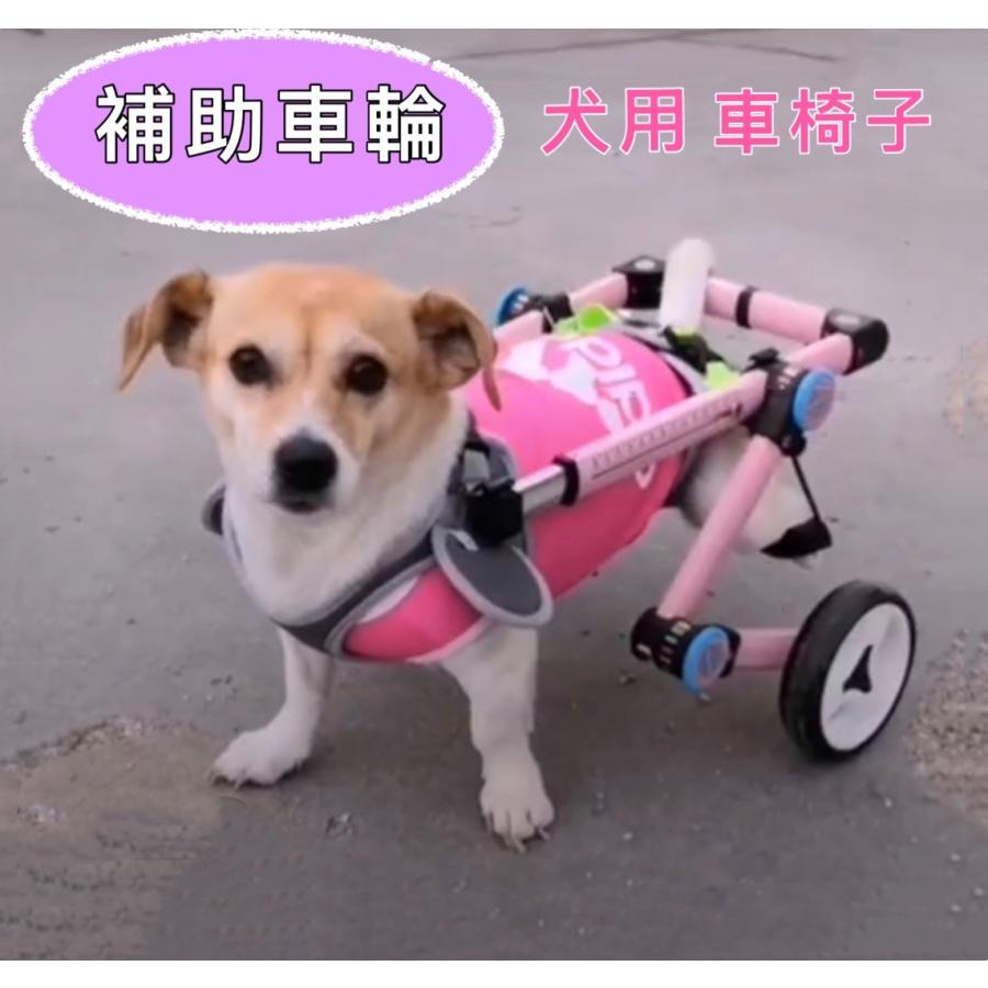 安価 ワタナベ 犬用車椅子 XSサイズ 後足支持 後肢障害ペット用 ペット歩行器 ペット用車椅子 - その他 - hlt.no