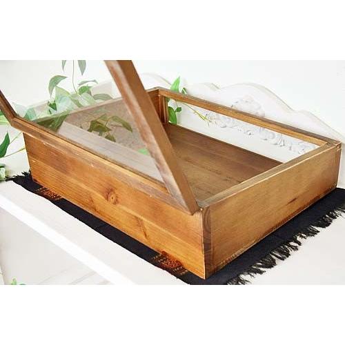 輸入雑貨 ラスティパイン ガラスケース Covent Garden コベント