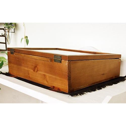 輸入雑貨 ラスティパイン ガラスケース Covent Garden コベント