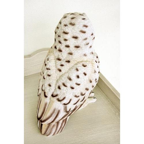 輸入雑貨 ヒラリアス オウル Covent Garden コベントガーデン TS-05