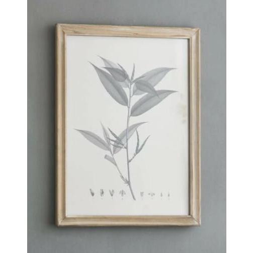 輸入雑貨 額絵 植物柄 アートフレーム 4枚セット ボタニカルアート