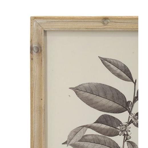 ボタニカルアート　植物画　ポピー　英国　イギリス　絵画　額　木製フレーム ボタニカルアート 植物画 ポピー 英国 イギリス 絵画 額 木製フレーム