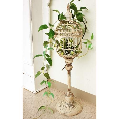 ブラン トールケージ 鳥かご アイアン コベントガーデン シャビー LW-73