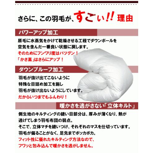 羽毛布団 シングル 日本製 シングルロング ホワイトダックダウン 85