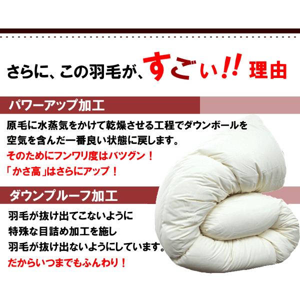 羽毛布団 セミダブル EX ポーランド産ホワイトマザーグースダウン