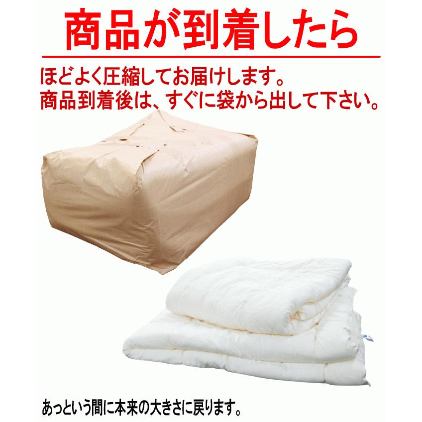 掛布団 2枚合わせ シングル ダクロン フレッシュ オールシーズン