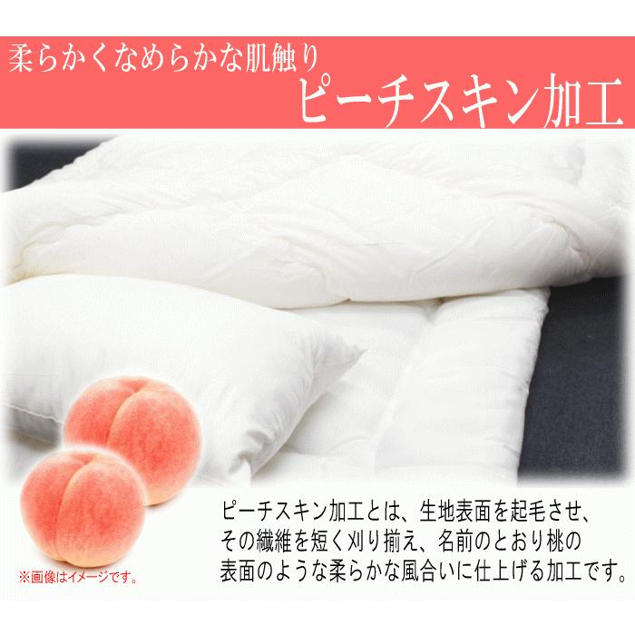 掛け布団 セミダブル 2枚合わせ テイジン フィルケア 抗菌 防臭 日本製 掛け布団 セミダブル 2枚合わせ テイジン フィルケア 抗菌 防臭 日本製
