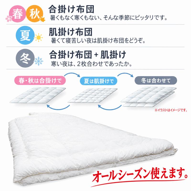 掛布団 2枚合わせ シングル フィルケア オールシーズン デュエット