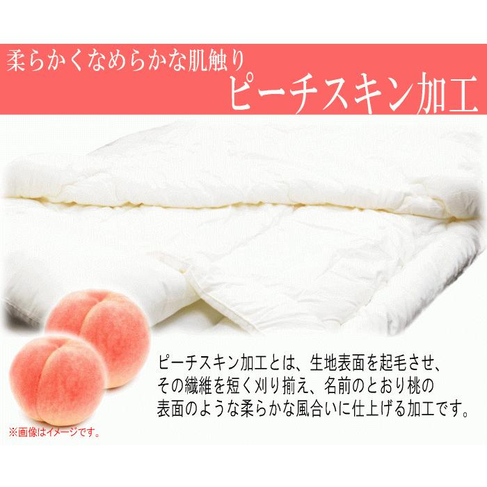 掛け布団 ダブル 2枚合わせ テイジン フィルケア 抗菌 防臭 日本製 掛け布団 ダブル 2枚合わせ テイジン フィルケア 抗菌 防臭 日本製