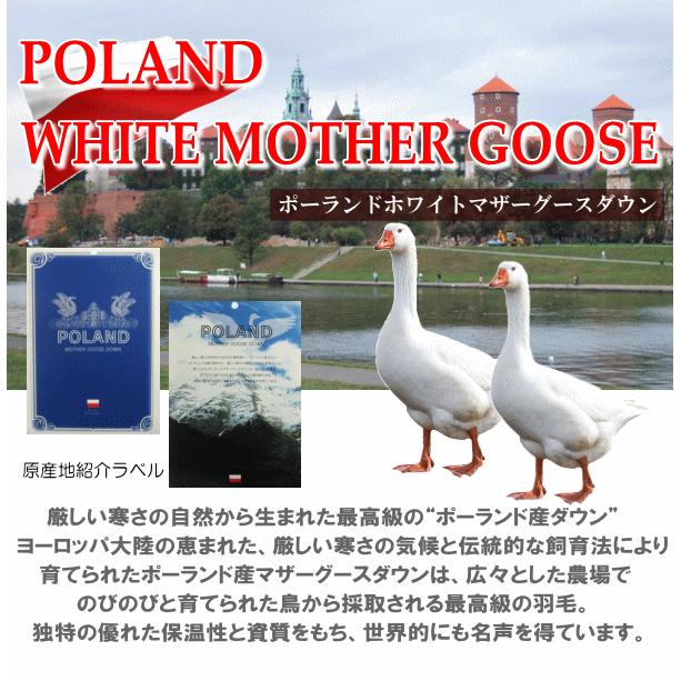 甲州羽毛ふとん 羽毛合掛け布団 合掛け布団 セミダブル ポーランド産 