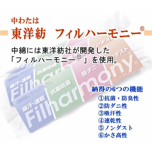 接触涼感　アイスニング　敷きパッド　シングル クールマット  フィルハーモニー 抗菌 防臭 防ダニ｜livingdays｜02