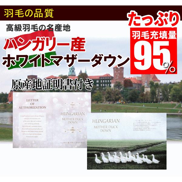 羽毛布団セット セミダブル 布団セット 日本製 プレミアムゴールド 二層キルト ハンガリー産ホワイトマザーダウン 95% ダウンパワー440dp以上 大増量の画像