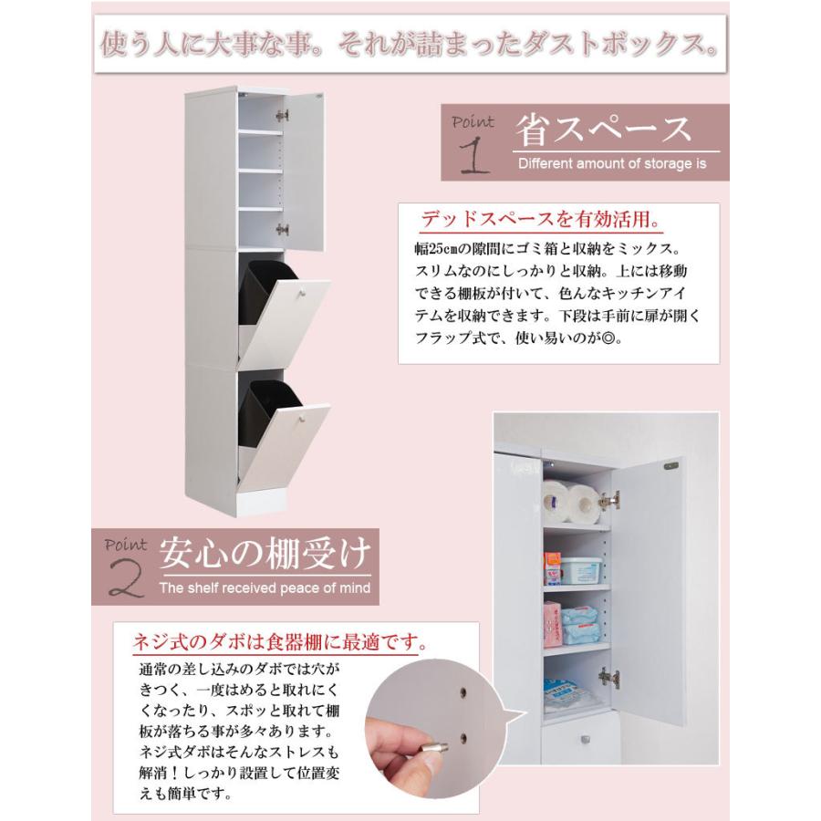 ダストボックス 2分別 25cm キッチン収納 食器棚 キッチンボード