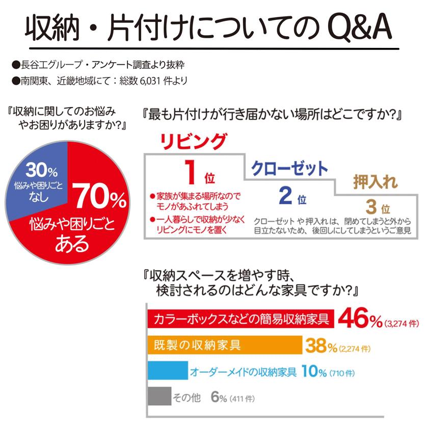 TEIJIN（テイジン） 乾っとデオケース フィットBOX 2026 最新版 収納