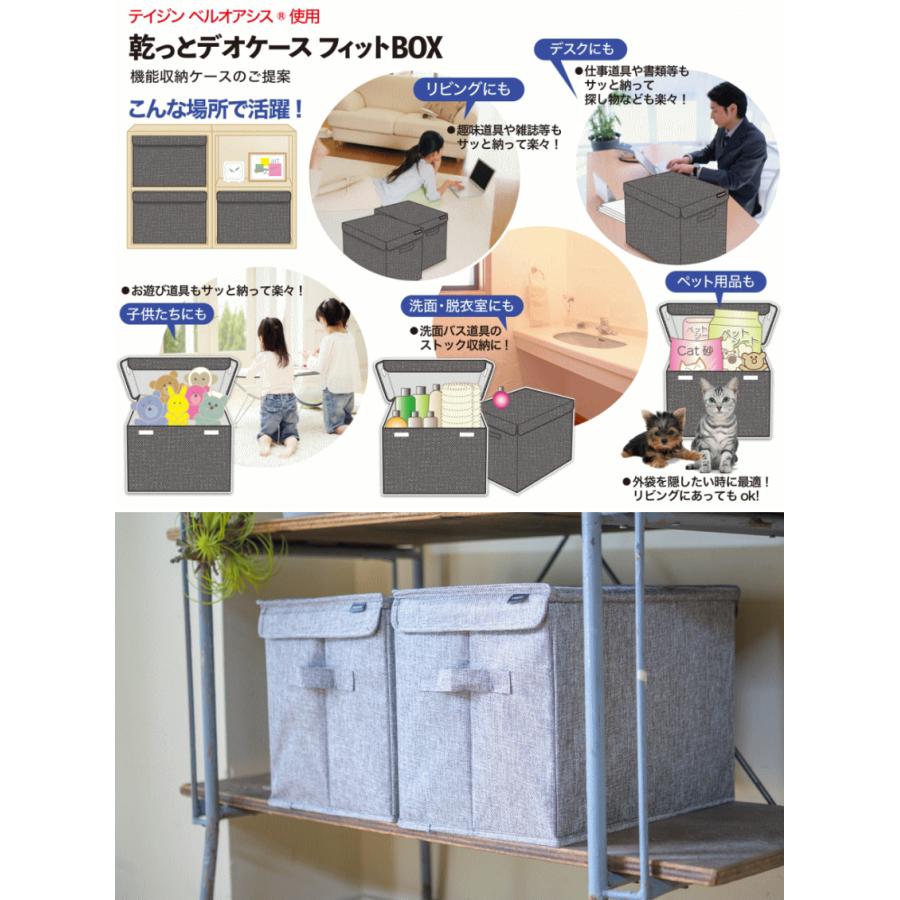 TEIJIN（テイジン） 乾っとデオケース フィットBOX 2026 最新版 収納