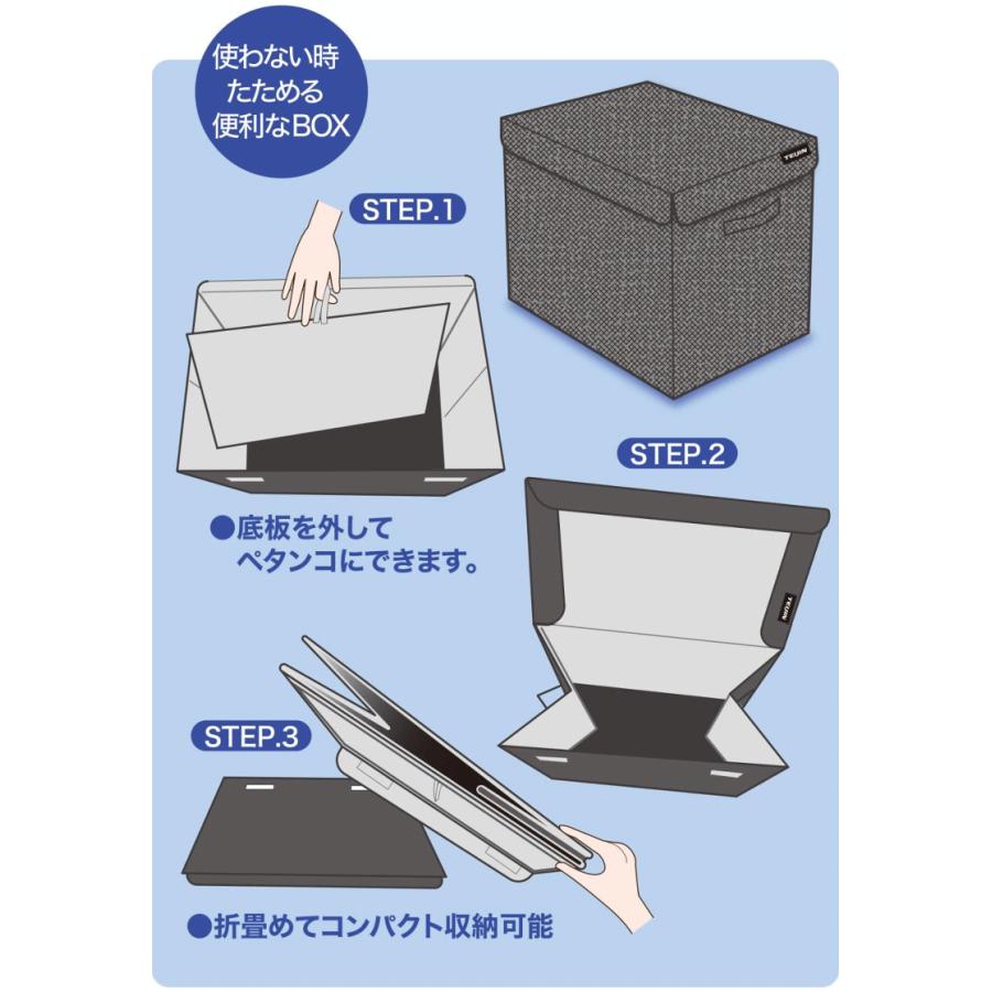 TEIJIN（テイジン） 乾っとデオケース フィットBOX 2026 最新版 収納