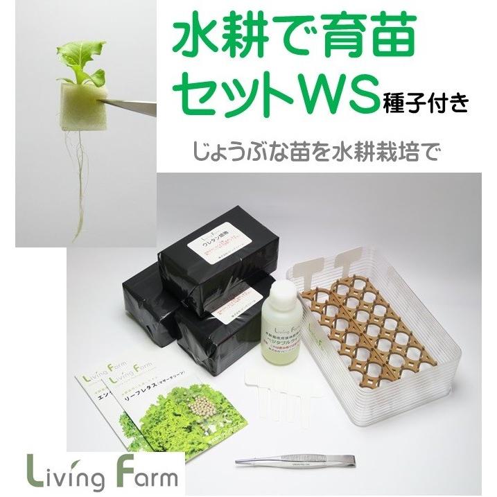 水耕栽培 育苗セットＷＳ　種付き | 