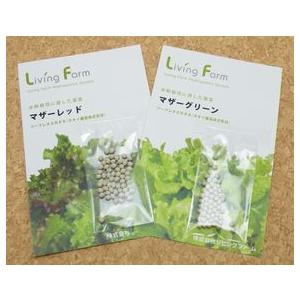 水耕栽培 育苗セットＷＳ　種付き |  | 05