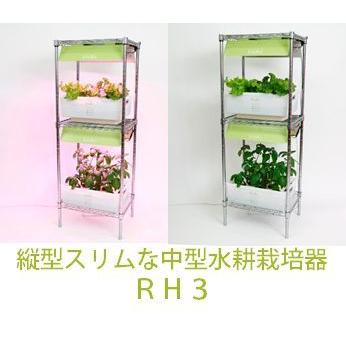 水耕栽培キット 中型RＨ３ | 