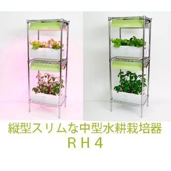 水耕栽培キット 中型RＨ4 | 
