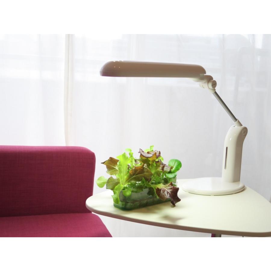 水耕菜園キットＳ ミニ |  | 04