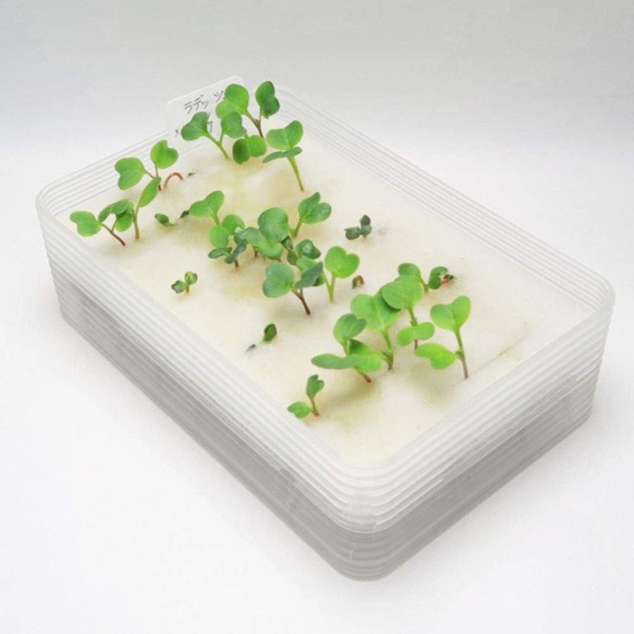 水耕栽培キット ミニ水耕菜園キットRA ラディッシュ 2回分 栽培セット（培地シート 液体肥料 種付き）家庭菜園 水耕栽培 野菜 栽培キット リビングファーム |  | 05