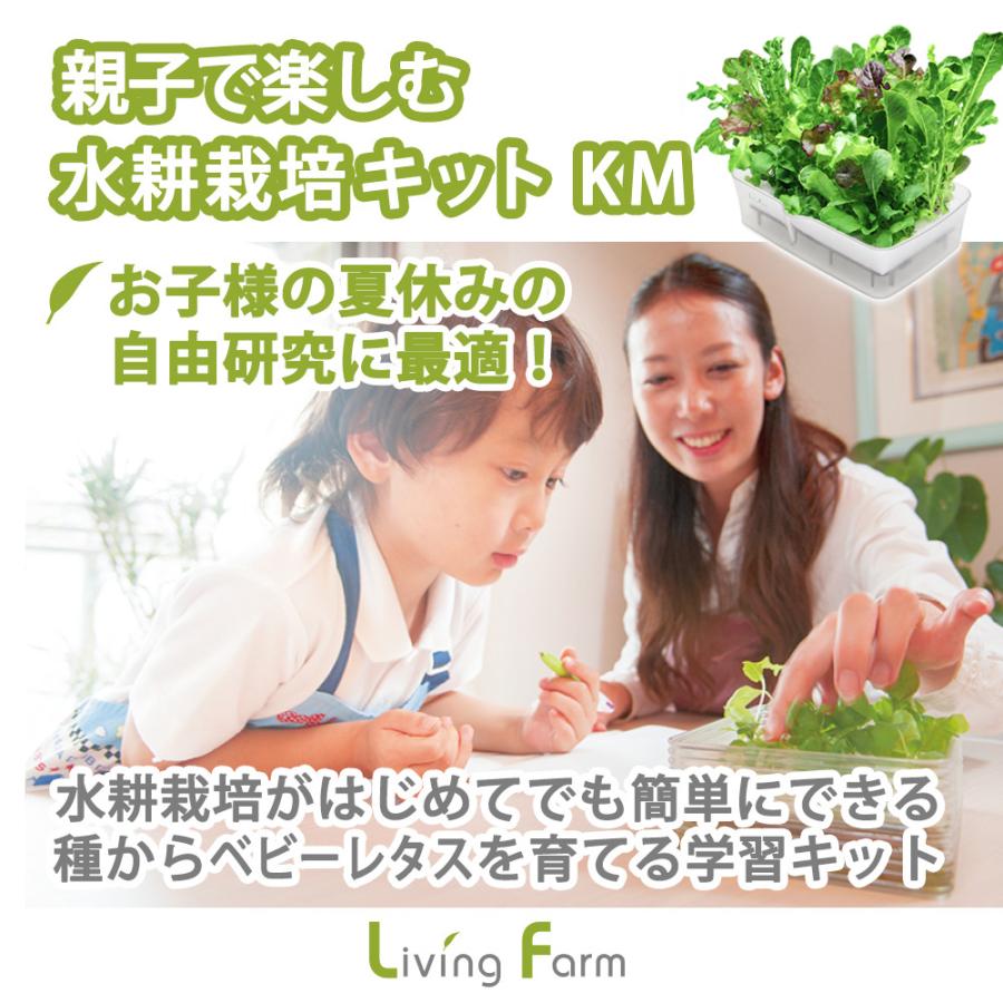 水耕栽培 自由研究 親子で楽しむ 水耕栽培キット KM ベビーレタス・ミックス 2回分セット 観察日記付属（培地 液体肥料 種付き） 栽培キット リビングファーム | 