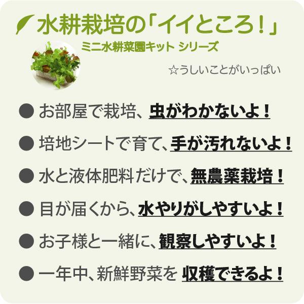 水耕栽培 自由研究 親子で楽しむ 水耕栽培キット KM ベビーレタス・ミックス 2回分セット 観察日記付属（培地 液体肥料 種付き） 栽培キット リビングファーム |  | 08