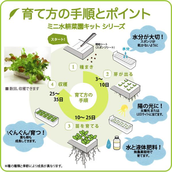 水耕栽培 自由研究 親子で楽しむ 水耕栽培キット KM ベビーレタス・ミックス 2回分セット 観察日記付属（培地 液体肥料 種付き） 栽培キット リビングファーム |  | 09