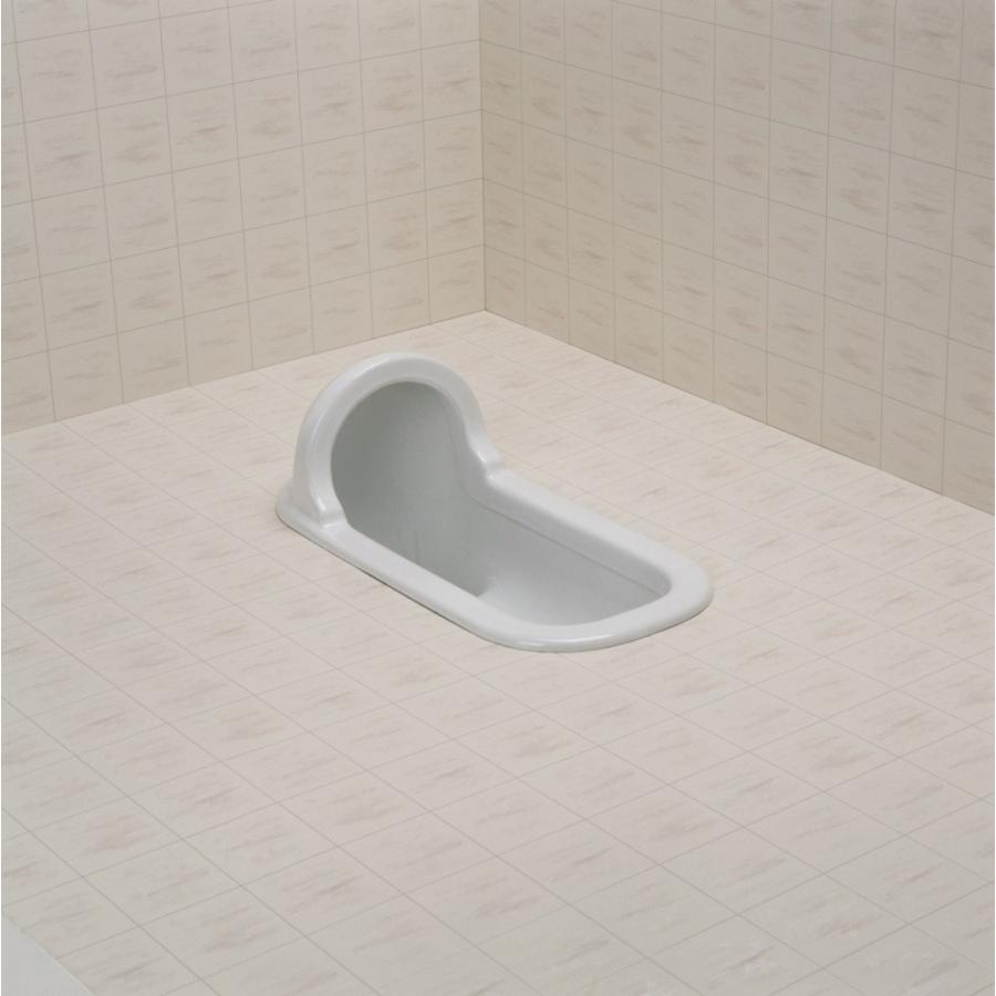 山崎産業 リフォームトイレ P型 和風式 (床に段差のないトイレ用 山崎産業 リフォームトイレ P型 和風式 (床に段差のないトイレ用