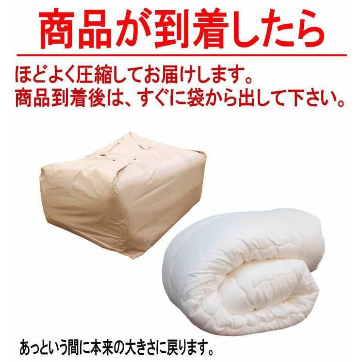 掛け布団 ダブル ダクロン フレッシュ 洗える 掛布団 耐洗濯性 日本製 掛布団 ダブル ダクロン フレッシュ 洗える 掛けふとん 耐洗濯性 耐久